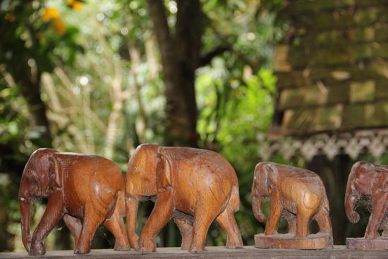 Garten- Impressionen auf thailändisch....