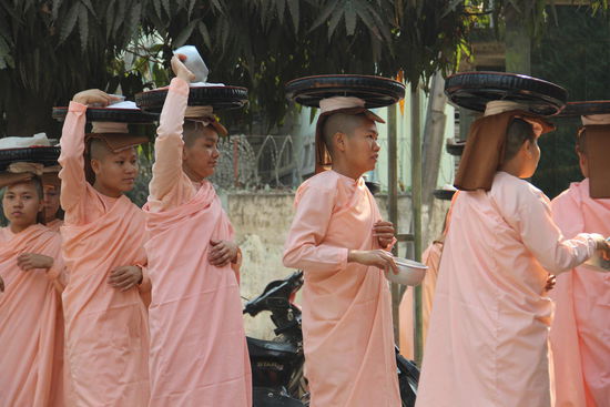 kleine Nonnen am Morgen, beim täglichen Almosen einsammeln...