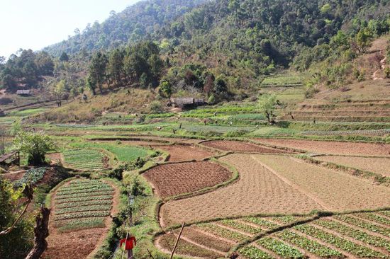 ...durch sehr gepflegte Gärten und Plantagen