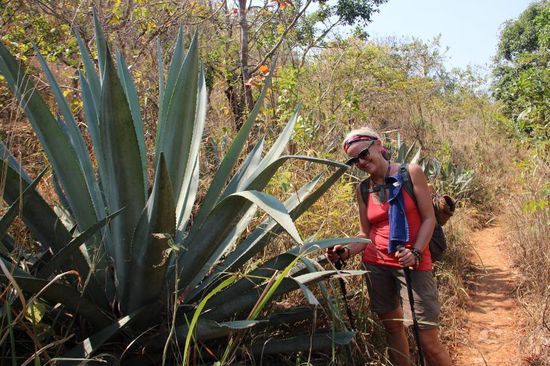 Wandern ist schon ne`feine Sache, wenn es nicht sooooo heiß wäre...