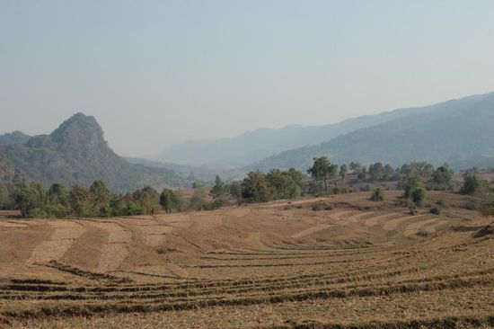 die Felder schauen aus, als wären sie mit Maschinen bearbeitet worden, aber wir sehen nur fleißige Menschen....