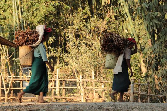 ....und bei der Arbeit....