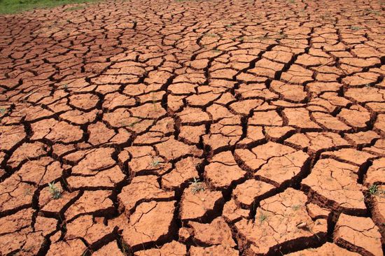 Wir kommen uns so ausgetrocknet vor, wie diese Erde.....