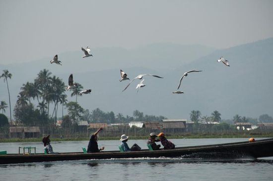 ...am Inle-See beginnen wir mit einer idyllischen Bootsfahrt