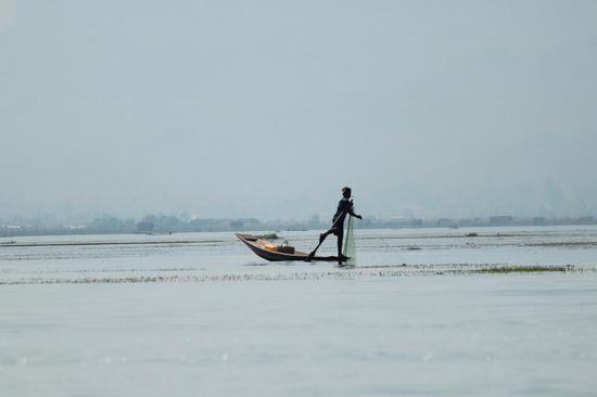...und sehen dabei schon die ersten berühmten Einbeinruderer....