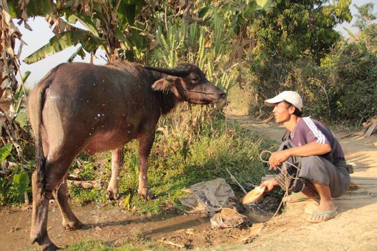 Muhhhh, Duschen ist herrlich....