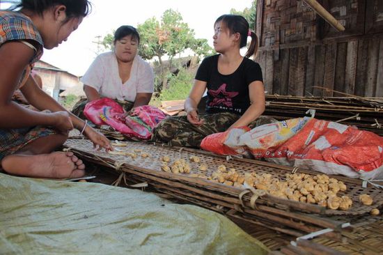 ....dann geschnitten und getrocknet