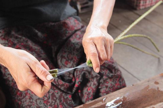 Lotusblüten werden zu einem Garn gedreht....