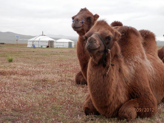 Die zwei Hübschen sind echt, auch wenn es aussieht, als wären wir im Film......