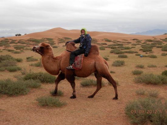 Walter is the best camelrider.....