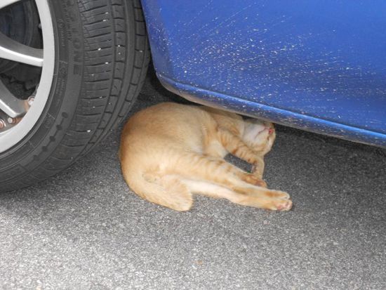 Tod oder lebendig???? einfach eingeschlafen, grins...