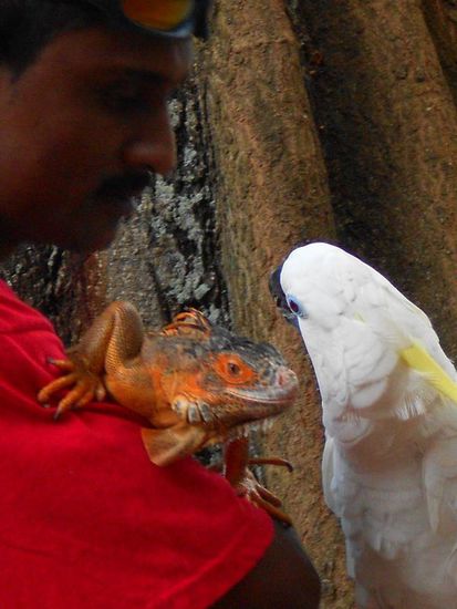 Exot trifft auf Exot....