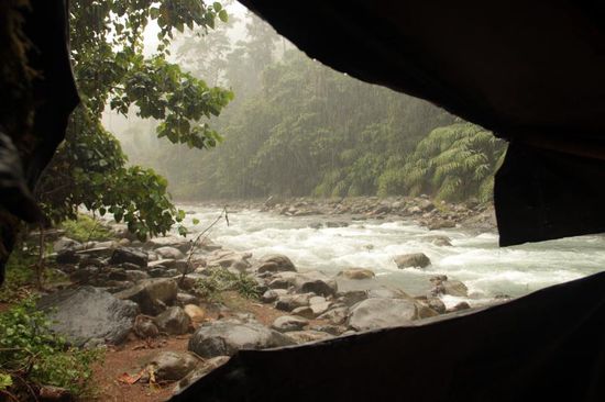 Regen im Regenwald
