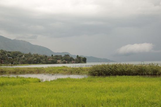 tief hängende Wolken kündigen schon wieder Regen an....