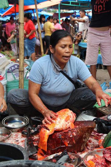 blutige Angelegenheit, frischer Fisch....