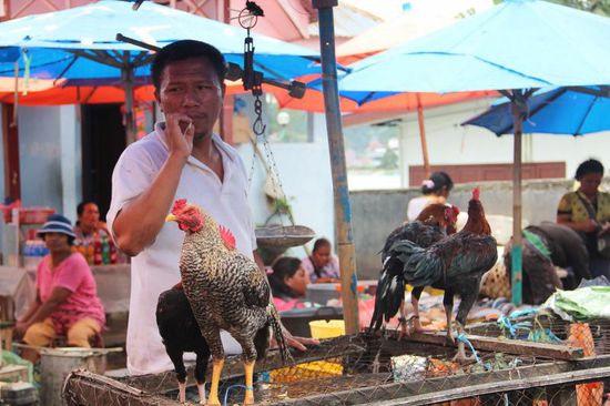 ...ein Hühnchen gefällig???