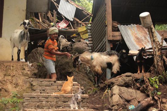 sie hatte ein riesengroßes Herz für Tiere....