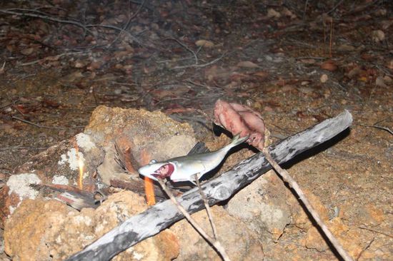 die ersten Fischlein gegrillt auf einem Buschfeuer.......