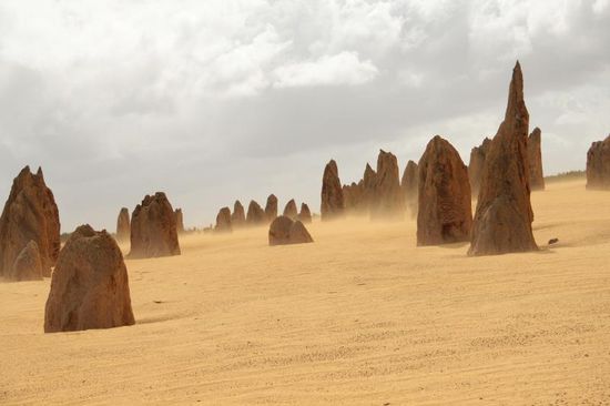 hui...und so wird der Wind sie irgendwann mit Sand zudecken