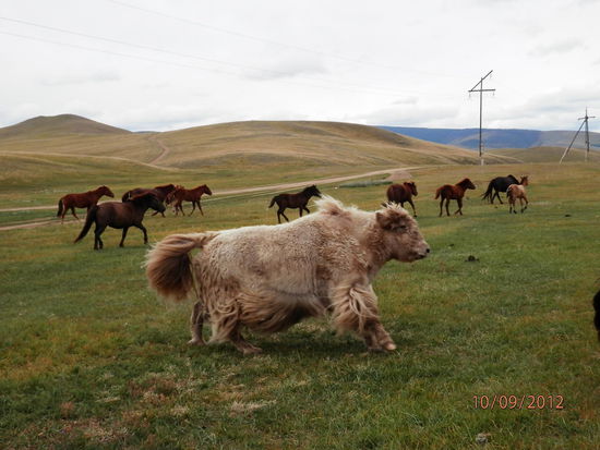 Ein trolliges Miteinander...