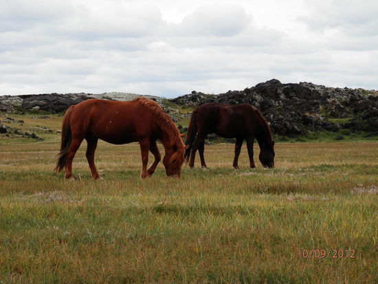 So eine Idylle findet man nur dort, wo wenig Menschen sind...