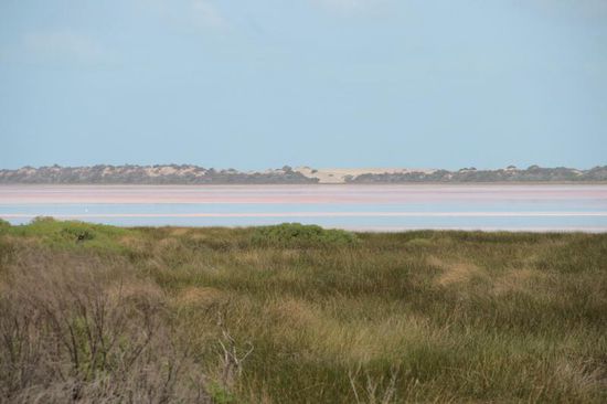 durch den Abbau von Mineralien schimmert dieser See pinkfarben....