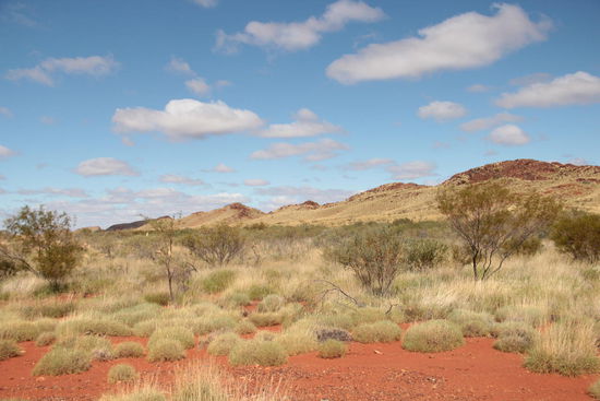 typisch australisch......