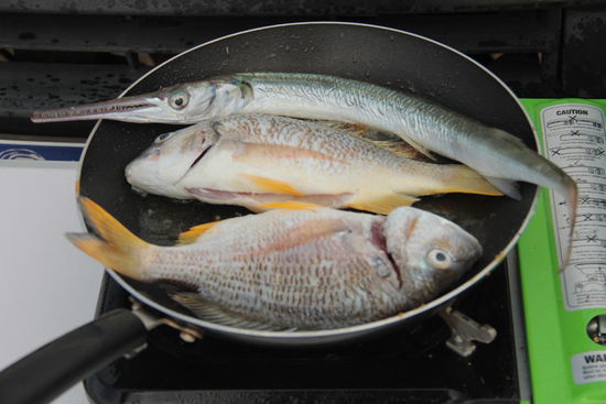 ...da liegen sie nun und brutzeln vor sich hin....