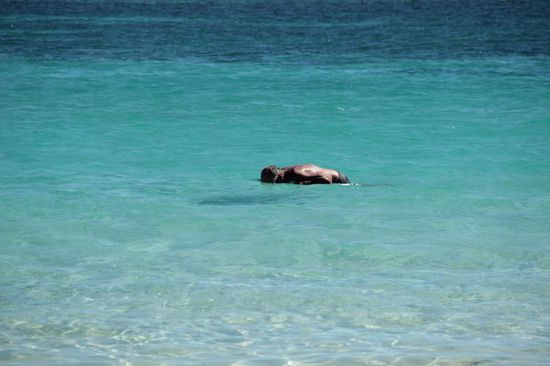 huch, was ist denn das?????