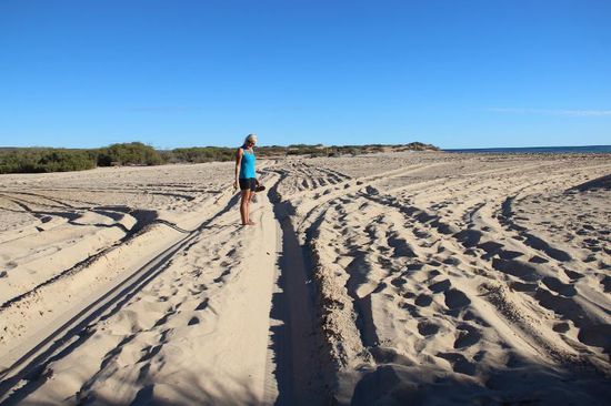 Ja, da haben wir den Alwyn wieder ausgebuddelt...