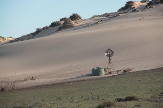 Wasserstelle für die Tiere, hier waren es hauptsächlich Schafe...