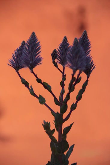 Impressionen im Karijini-NP...