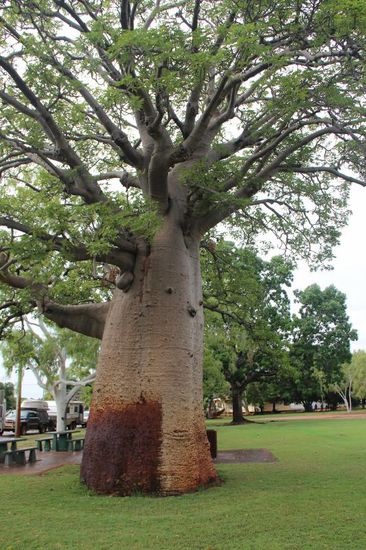 herrlich, es fehlen nur noch die Gesichter (naja, Augen und Nase hat der ja schon)