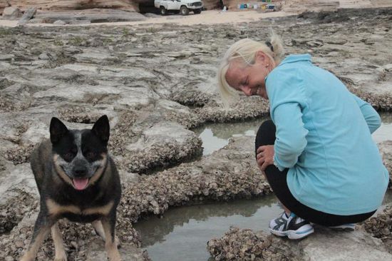 wir haben einen Fisch entdeckt....