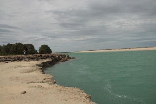 am Willy Creek werden Perlen gezüchtet