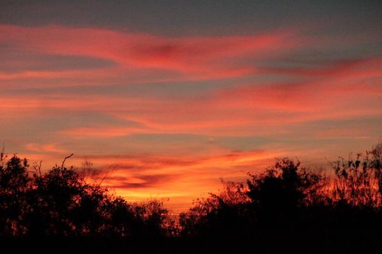 ohne Worte......einfach genießen!