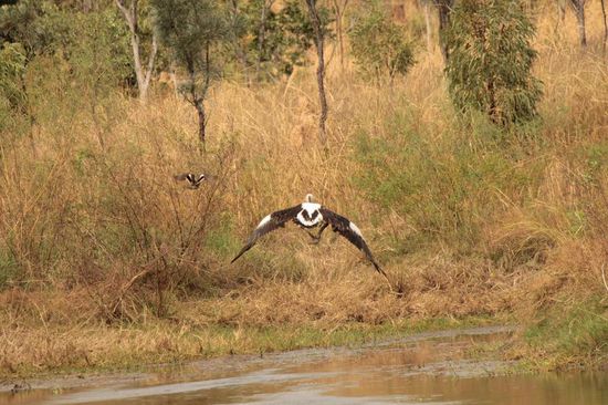...fühlte sich gestört durch uns...