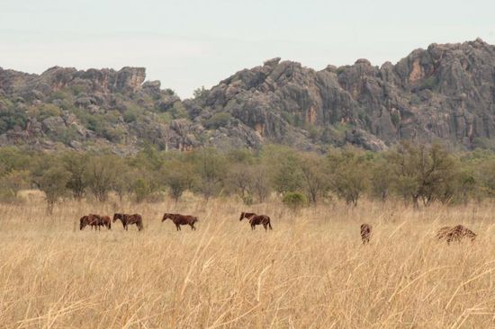 ....heimatnahe Bilder...