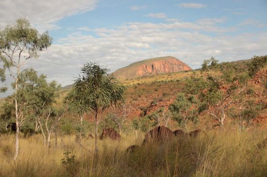 nun schon vertraute Bilder...