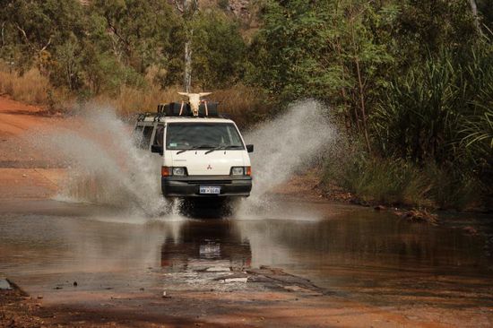 ....ganz schön mutig!