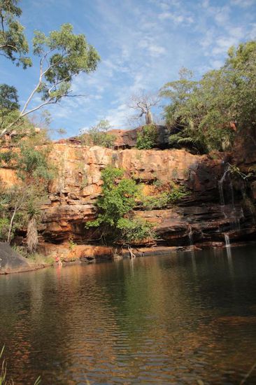 glasklarer Pool mitten im Busch....