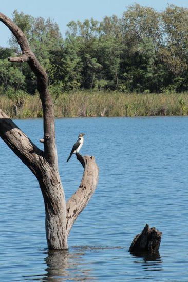 ...diesen Herren kennen wir nicht