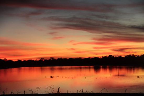 auch ein Abwasserteich kann leuchten ....
