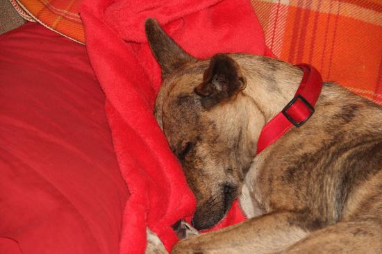 Cene....ich seh dich, raus aus dem Bett!