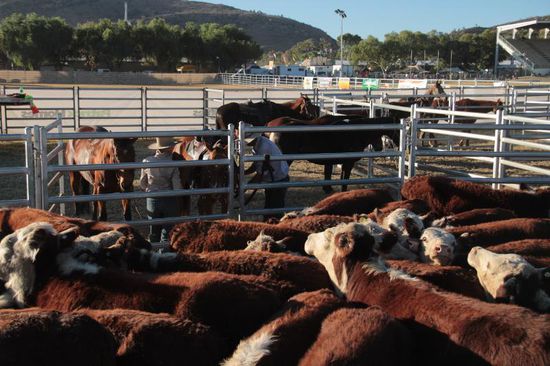 Alles wartet auf den Einsatz