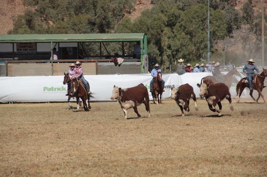 jippiiiiiii...es geht los!