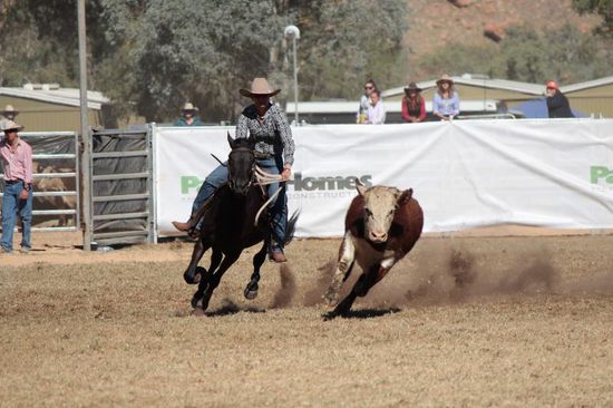 Cowgirl mit vollem Einsatz in der Rinderarbeit....