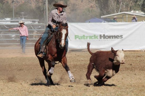 ....sie stehen ihren männlichen Kollegen in nichts nach...