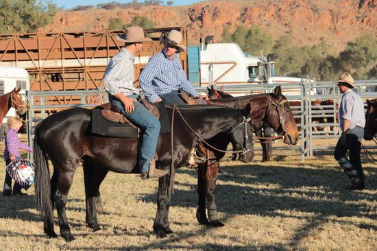 Hilfestellung oder Plauderstunde?