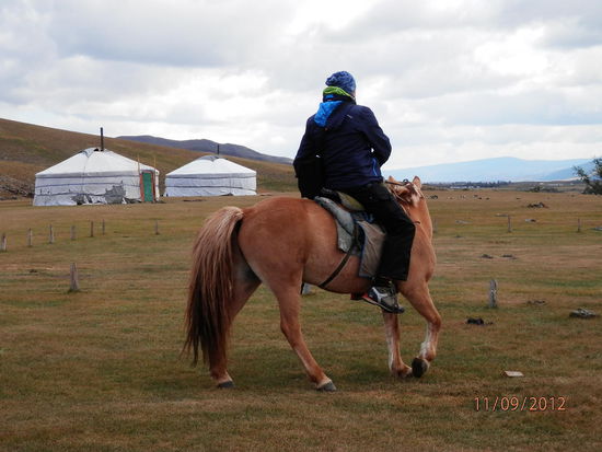 Walter in der Testphase....